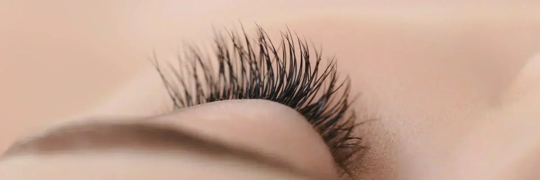 Which Eyelash Serum Is Right for You? A Complete Guide