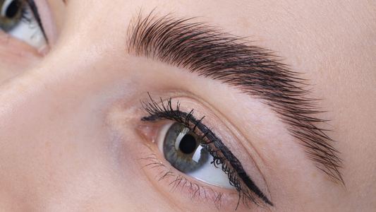 Hybrid Brows and Brow Lamination: Correct Order and Ideal Client