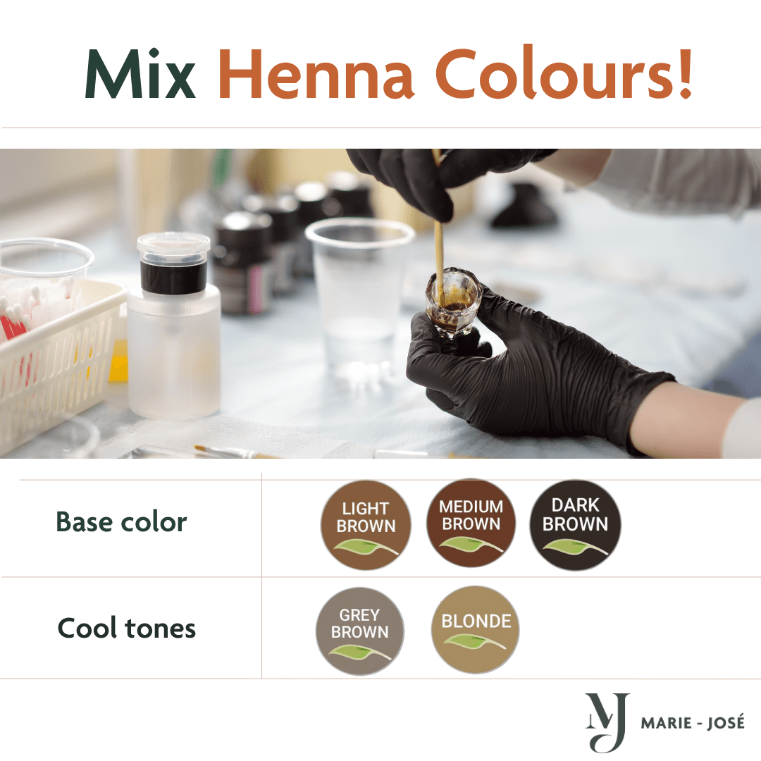 Henna Eyebrow Kit - Mini Starter Set for Professionals – Marie-José Henna Eyebrow Kit - Mini Starter Set for Professionals – Marie-José